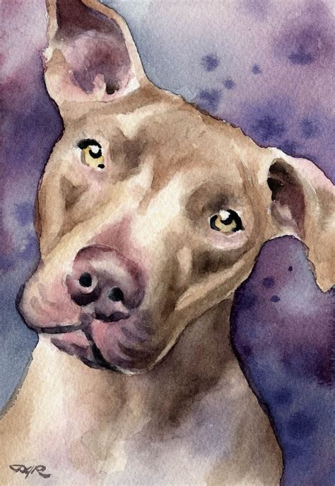 Pit Bull Terrier Art Print By Watercolor Artist D J Rogers Etsy