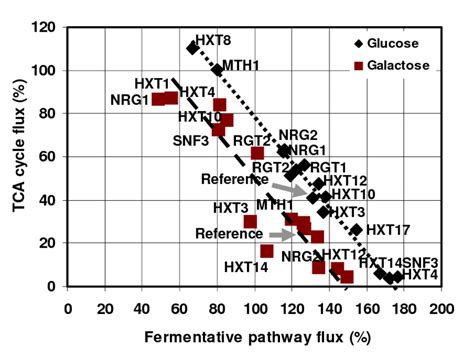 Correlation Between Tca Cycle Flux And Fermentative Pathway