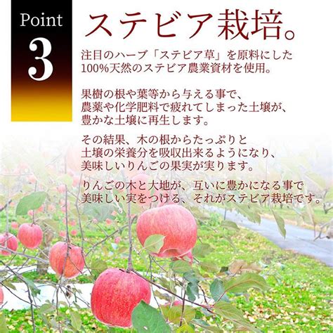 【2024年11月上旬 先行予約】りんご サンふじ ＆ 洋梨 ラフランス 秀品 3kg 約9〜12玉入り 数量限定 お歳暮 生産量日本一の山形