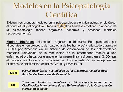 Modelos De Analisis De La Psicopatologia E Blasini PPT