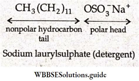 Surface Chemistry Notes - Adsorption, Colloids, Tyndall Effect - WBBSE ... 