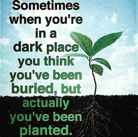 Sometimes When You Are In A Dark Place You Think You Have Been Buried