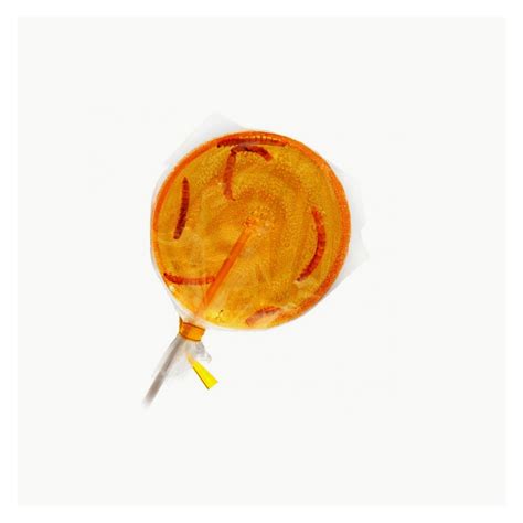 Mealworm Orange Lollipop Sucette Insecte