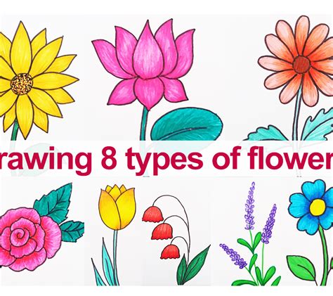 How To Draw Different Types Of Flowers