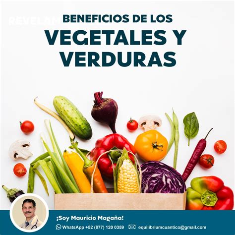 Equilibrium Conoce Las 10 Razones Para Comer Verduras Y