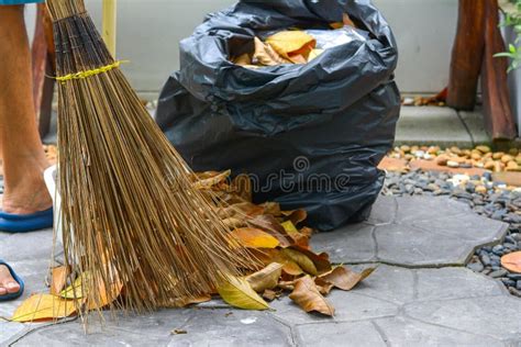 Outdoor Broom For Leaves Antigast