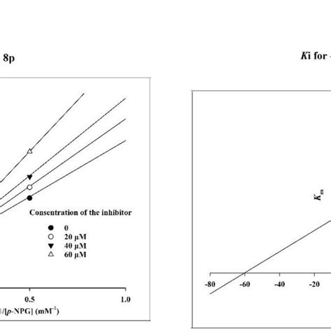 Kinetics of α glucosidase inhibition by compound 8p a The