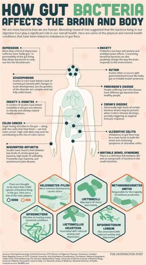 Why Fermented Foods Are Fantastic For Your Gut Health