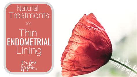 Natural Treatments For Thin Endometrial Lining Dr Lisa Watson