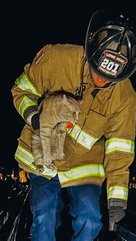 Firefighter Saving Cat