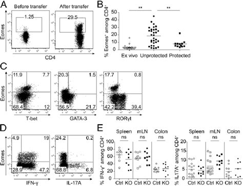 Eomes Does Not Affect Th Or Th Cytokine Production After Naive T