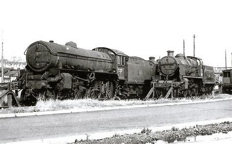 Preservation Thompson B1 Locomotive Trust