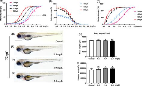 Ntz Exposure Induced Developmental Abnormalities In Zebrafish Embryos