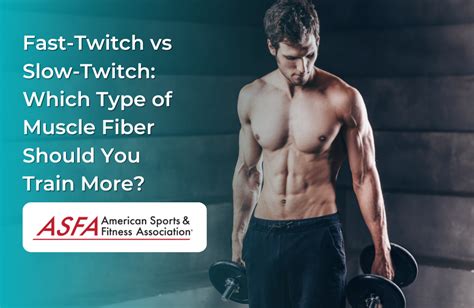 Fast Twitch Vs Slow Twitch Which Type Of Muscle Fiber Should You Trai