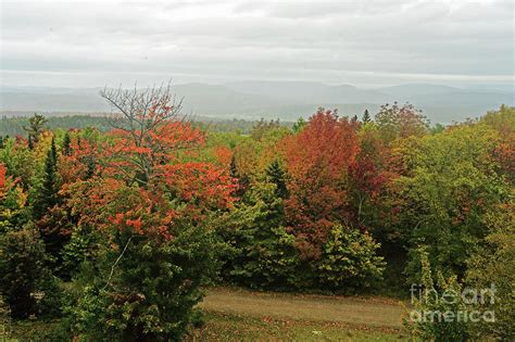 Fall Foliage Photograph By Jonathan Lingel Fine Art America