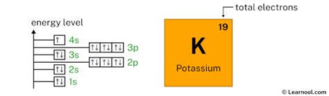 Potassium Orbital Diagram Learnool