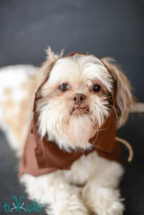 DIY Ewok Costume for Dogs | Ewok costume, Ewok costume diy, Diy dog ...