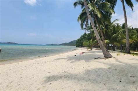 BEACHFRONT LOT IN SAN VICENTE PALAWAN PHILIPPINES Land For Sale In