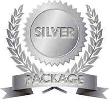 Logo Design Silver Package | Toplevel Sportswear | 321-200-0305