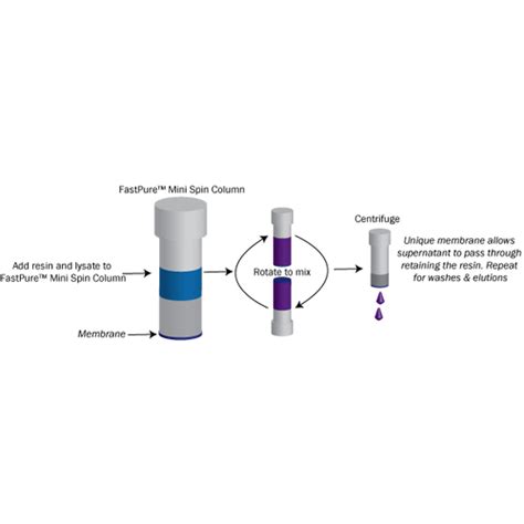 Spin columns for easy and efficient small scale protein purification ...