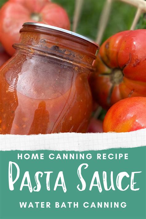 Canning Tomato Sauce With Skins And Seeds How To Guide Artofit