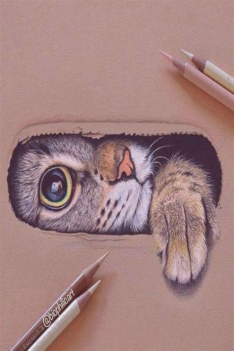 Cat Drawings Pic How To Draw A Cat Drawingnow See More Ideas