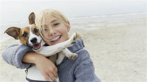 25 Dogs Who Clearly Love Hugs Mashable