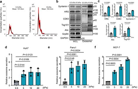 【nat Cell Biol】21 硬性基质诱导外泌体分泌促进肿瘤生长 企业动态 丁香通