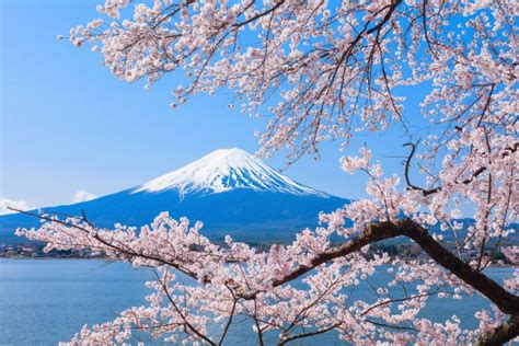 Mt. Fuji, Panoramic Ropeway & Seasonal Fruits Picking