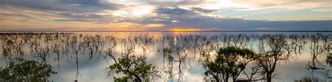 Buy Pictures of Menindee Lakes, photos of Menindee Lakes, photographs ...