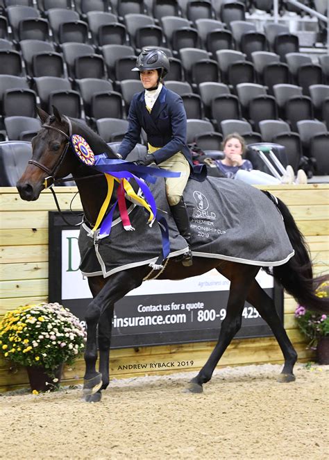 World Equestrian Center Fall Classic II Highlights - World Equestrian ...