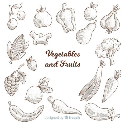 Free Vector | Healthy food sketches collection