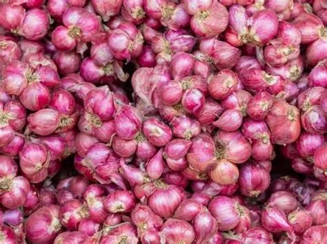 Red Dry A Grade Shallots Onion Tamil Nadu Onion Size Available