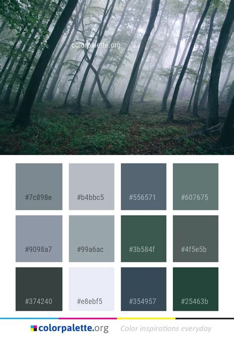 Forest Green Color Palette