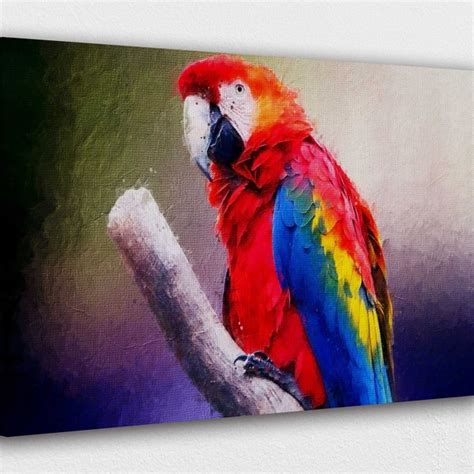 Macaw Poster Etsy