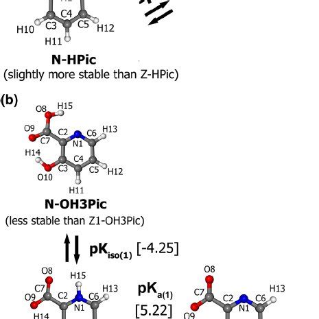 Theoretical Tautomerization Pathways For Hydroxypicolinic Acid