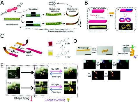 Bioinspired Light Driven Soft Robots Based On Liquid Crystal Polymers