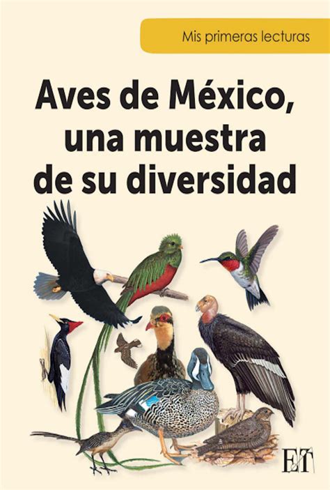 Aves De M Xico Una Muestra De Su Diversidad Pax