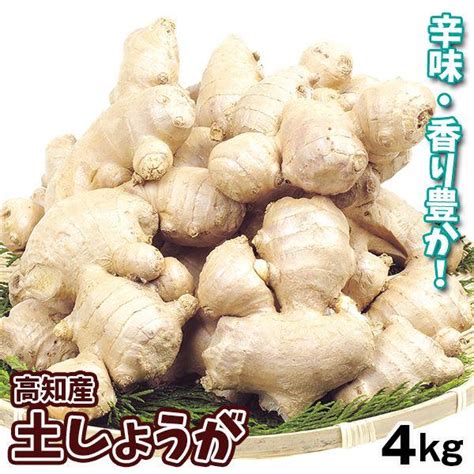 高知産 黄金生姜 4kg 送料無料 業務用 高知県産 生姜 国産 根生姜 囲い生姜 坂田信夫商店 安い購入