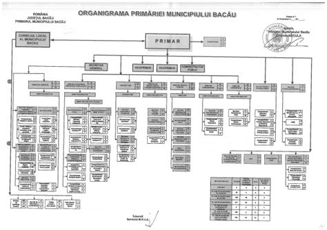 Noua Organigramă A Primăriei Bacău Fără Viziune Fără Atribuții Dar