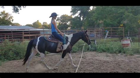 Sitting And Rising Trot Riding Exercises Adult Western Riding Lesson