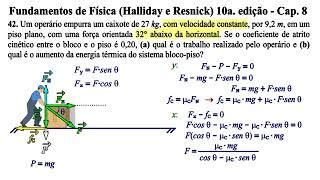 Aula 42 Fundamentos de Física Halliday e Resnick 10 Doovi