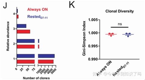 Transient Rest Restores Functionality In Exhausted Car T Cells Through