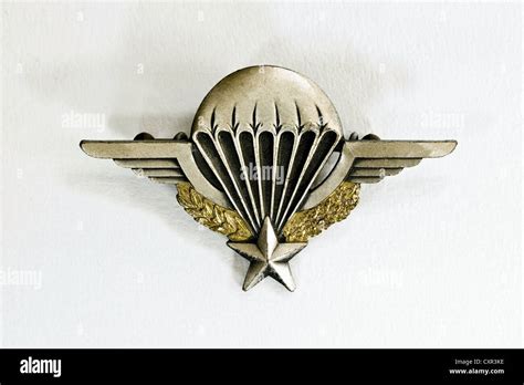 Insigne de parachutiste francais Banque de photographies et dimages à