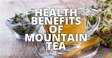 10 Potential Health Benefits Of Mountain Tea