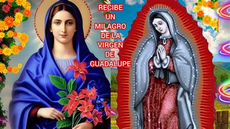 Reza Esta Oracion A La Virgen De Guadamupe Y Recibe Un Milagro A Si Sea