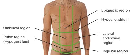 Surgical Anatomy Of The Abdomen Concise Medical Knowledge Off