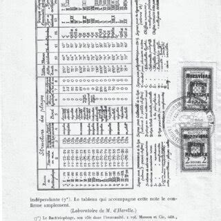 Bacteriophage classification from original 1935 publication by... | Download Scientific Diagram