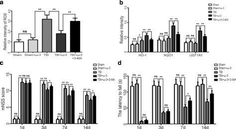 Pufa Supplementation Protects Neurons Via Inhibition Of Oxidative