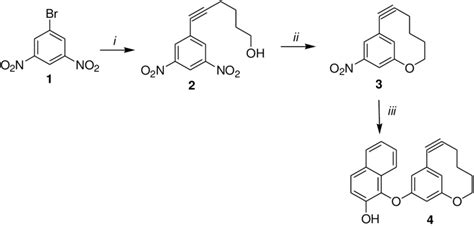 Synthesis of an naphthalenol derivative (4). Reagents and conditions: i... | Download Scientific ...